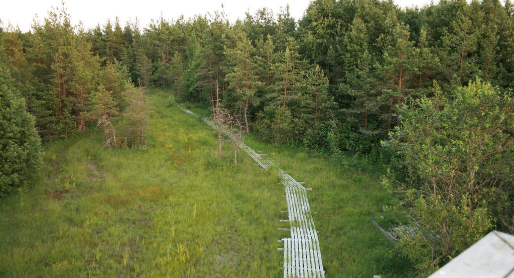 Kotkapoja Residence Kuressaare Habitación foto